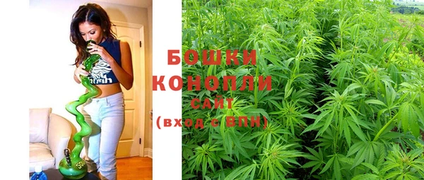 кокс Дмитров