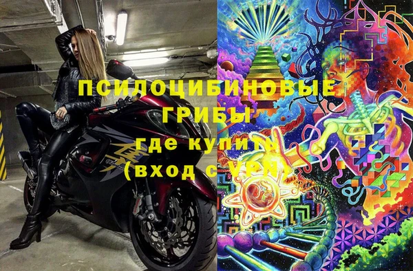 кокс Дмитров