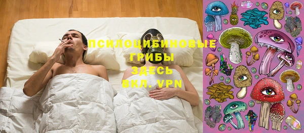 а пвп мука Дмитриев
