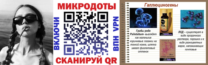 Купить  Северобайкальск  Псилоцибиновые грибы мицелий 